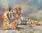 Tiger Cub Lounging