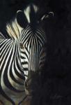 Zebra Fade To Black
