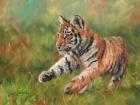 Tiger Cub Running