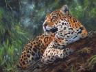 Jaguar In Tree