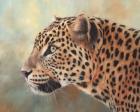 Leopard Side Profile