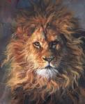 Lion Portrait