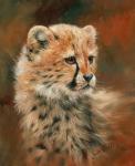 Cheetah Cub Portrait