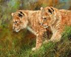 Lion Siblings