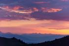 Mammoth And Ancient Bristlecone