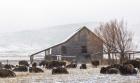 Colorado Barn