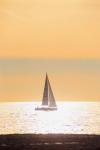 Sailboat