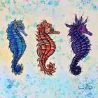 Seahorses