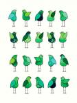 Green Bird