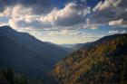 Autumn in Appalachia