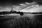 Devils Tower Black & White