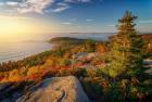 Autumn Morning on Gorham Mountain