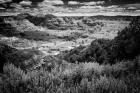 Little Missouri Badlands B&W