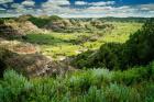 Little Missouri Badlands