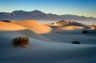 Mesquite Dunes