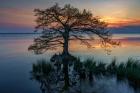 Dusk on Currituck Sound