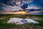 Paines Creek Reflections