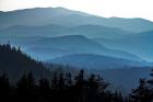 The Smokies