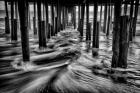 Under Kitty Hawk Pier Monochrome