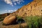 Cannonball Concretion