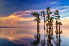 Dusk on Lake Maurepas