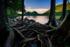 Jordan Pond Through The Trees