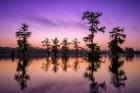 Lake Martin Twilight