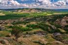 Oxbow Overlook