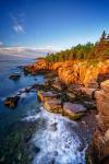 Spring Morning in Acadia