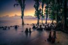 The Shore of Lake Pontchartrain