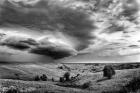 Thunder in the Badlands Monochrome