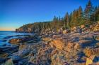 Clear Morning in Acadia