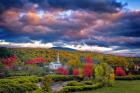 Stowe Autumn