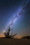 Bristlecone Milky Way Bryce
