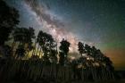 Stacked Pano Aspens