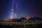 Starry night over Grand Teton Range