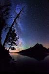 Stars over Jenny Lake