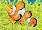 Clownfish