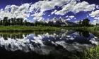 Swabacher Landing 2