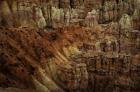 Bryce Canyon Stones