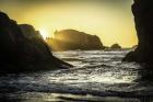 Bandon Beach 3