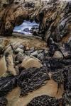 Salt Point 3