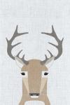 Whitetail Deer