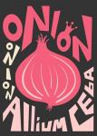 Kitchen Onion