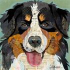 Bernese