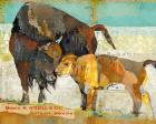 Bison and Baby