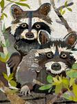 Raccoons