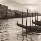 Campo di Salute, Venezia