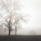 Farmland, Appalachia, 2013