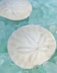 Seaglass 3